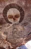 Wandjina Aboriginal cave painting in the Australian bush