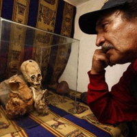 a man looking into a glass cabinet with the bones of a minature alien inside