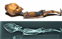 Atacama Alien: comparison between a small alien body and the same x-rayed alien image